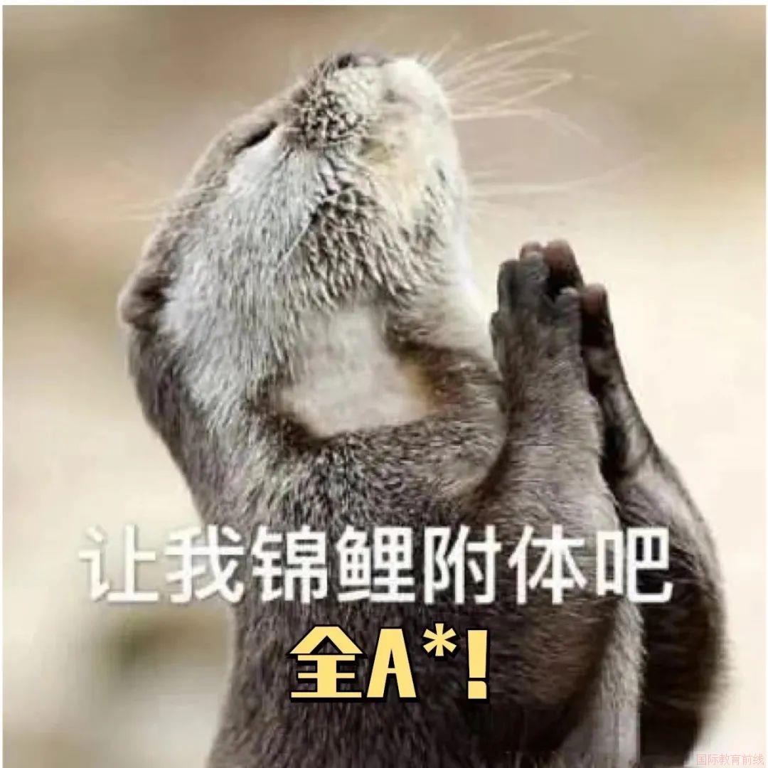 耀华国际教育学校浙江桐乡校区：A-Level 出分在即！好运传递冲 A*！必备攻略全收录(图3)
